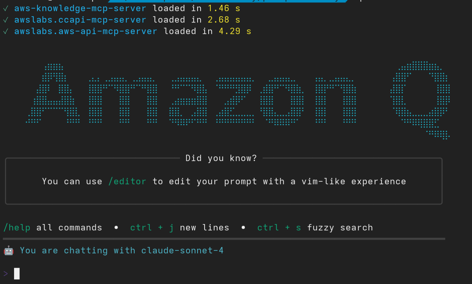 Amazon Q CLI